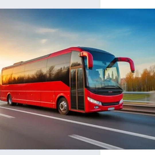 City Tours and Sightseeing