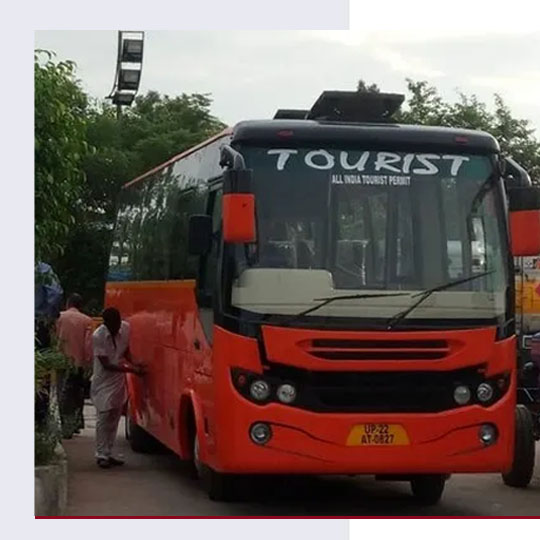 Family and Group Tours
